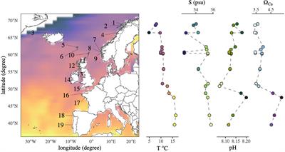 Evidence for Carbonate System Mediated Shape Shift in an Intertidal Predatory Gastropod